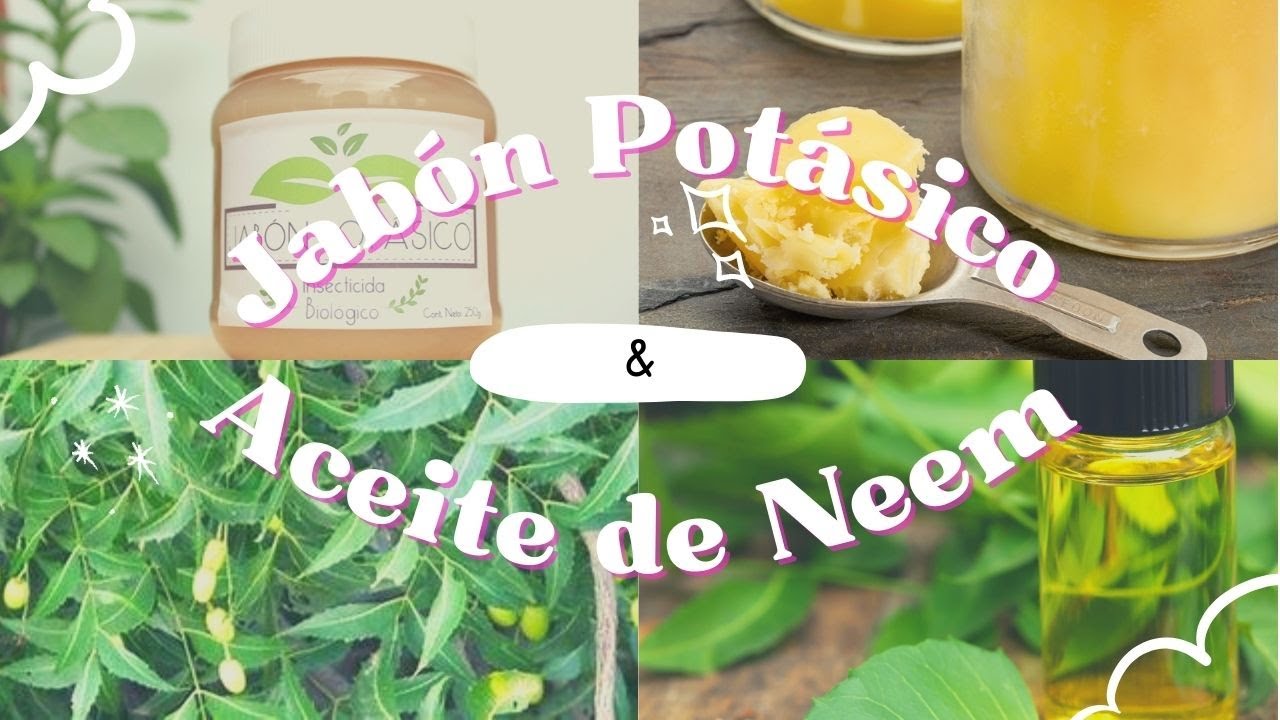 aceite de neem y jabón potásico para que sirve