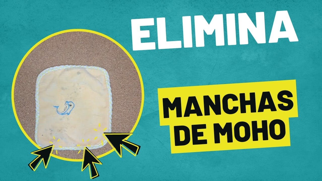 como quitar el moho de las toallas