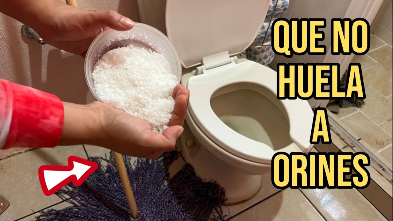 como quitar el olor a orina de una habitacion