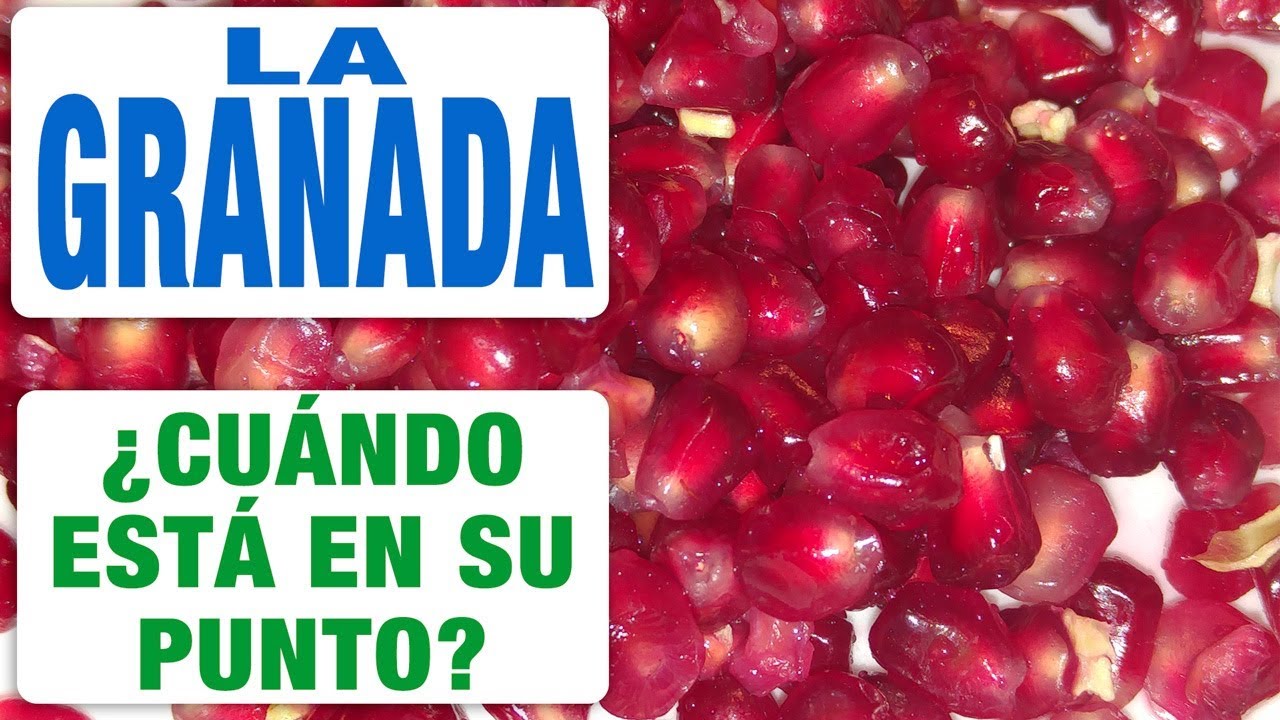 como saber si una granada está buena
