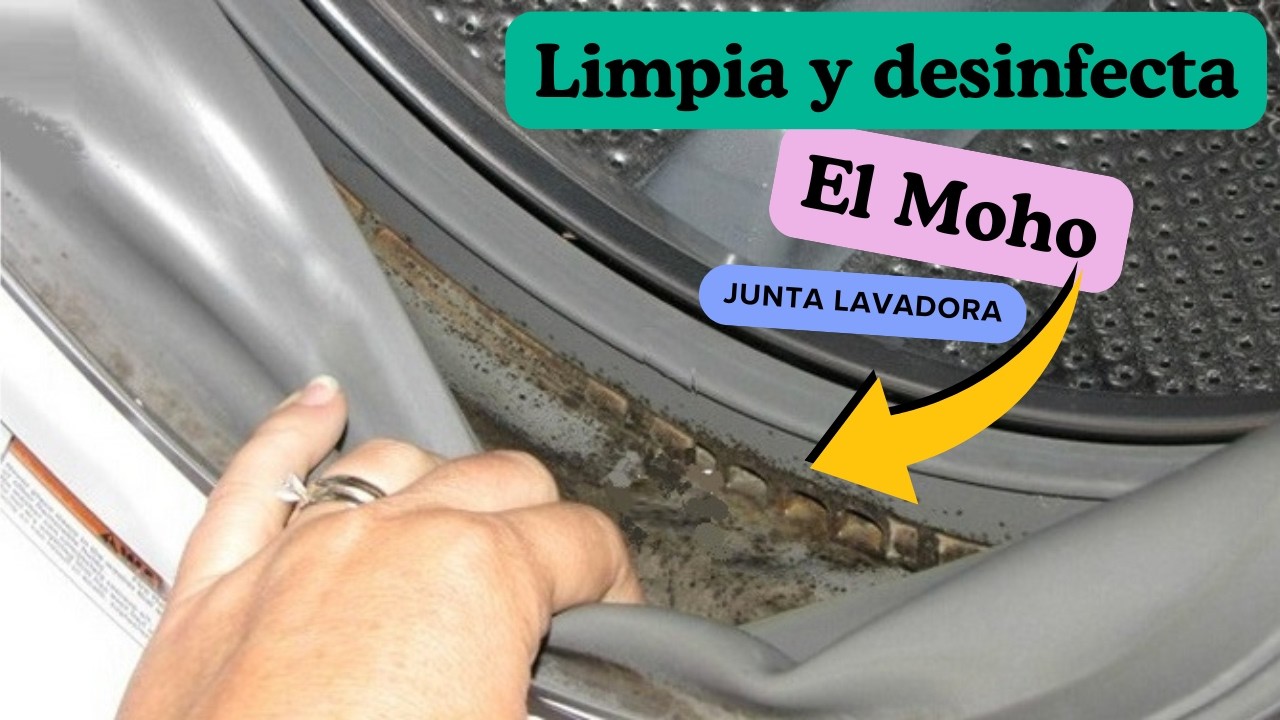 como.limpiar la goma de la lavadora