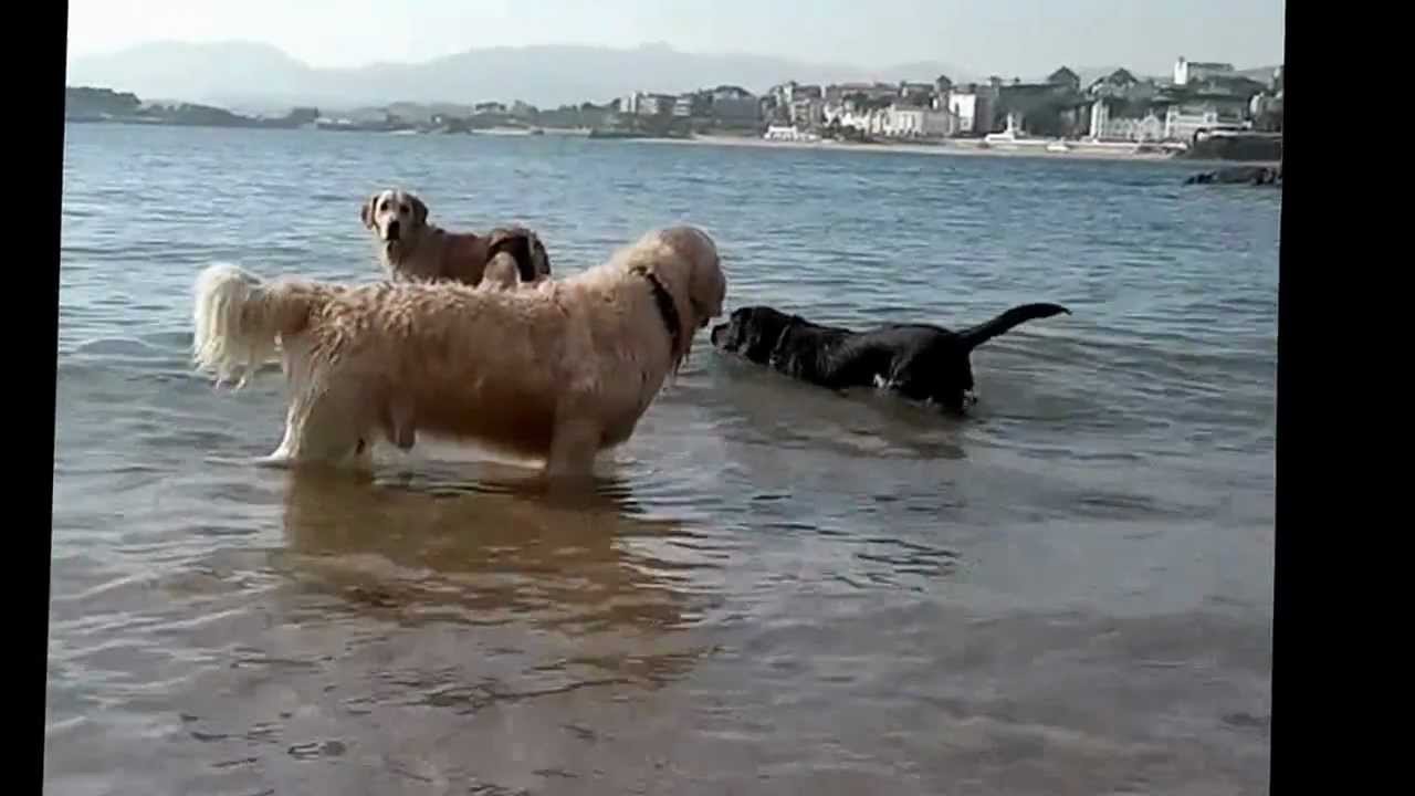 con bragas y a lo loco