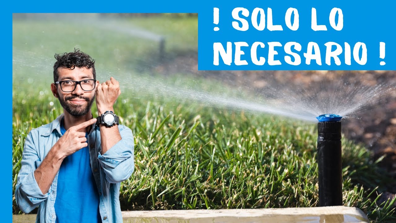 cuando es mejor regar el huerto