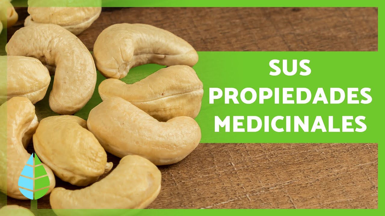 cuántos anacardos se pueden comer al día