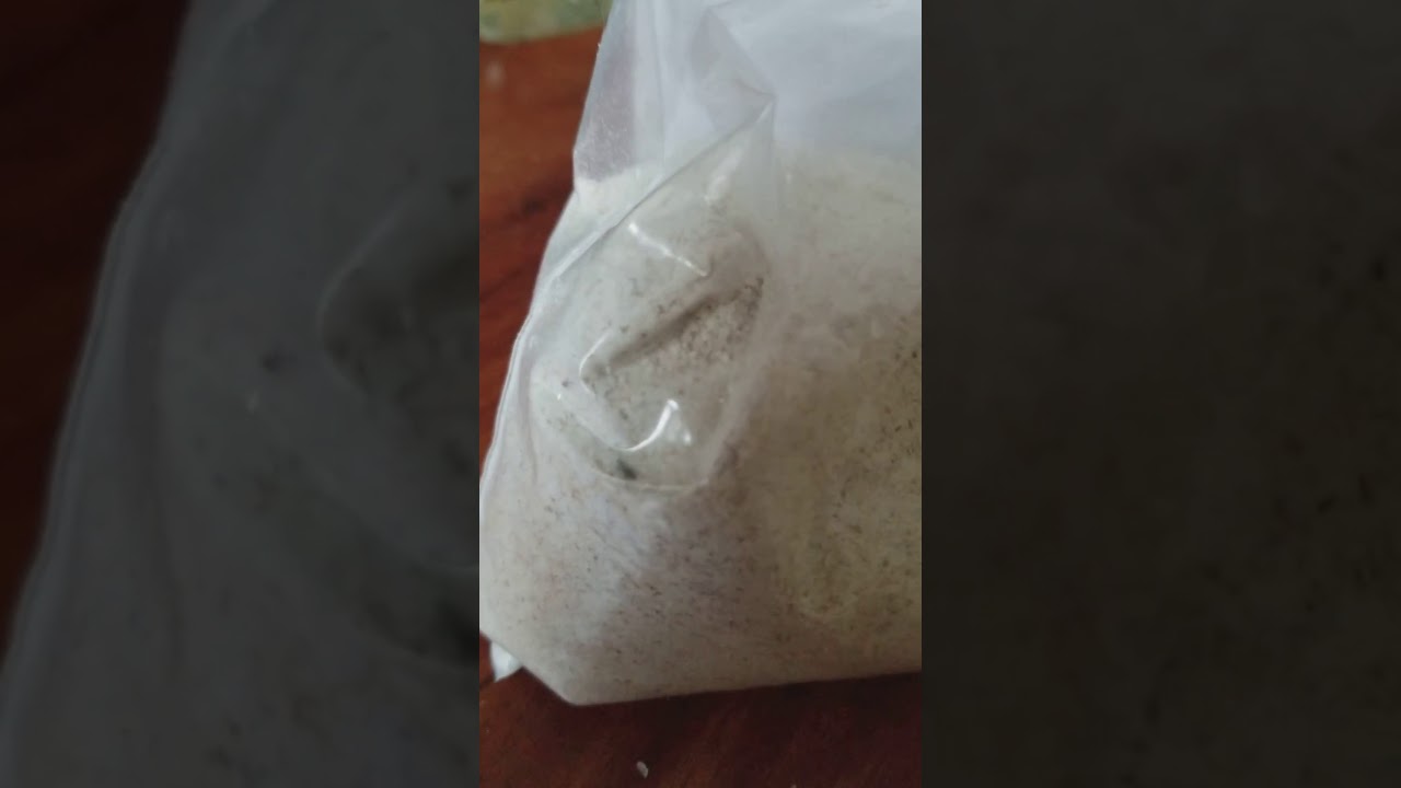 de donde salen los bichos de la harina