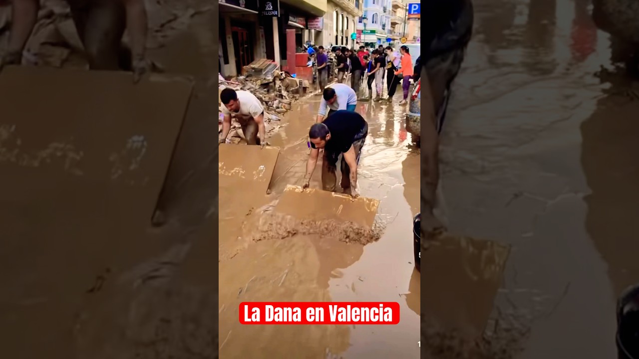 donde ir a ayudar en valencia