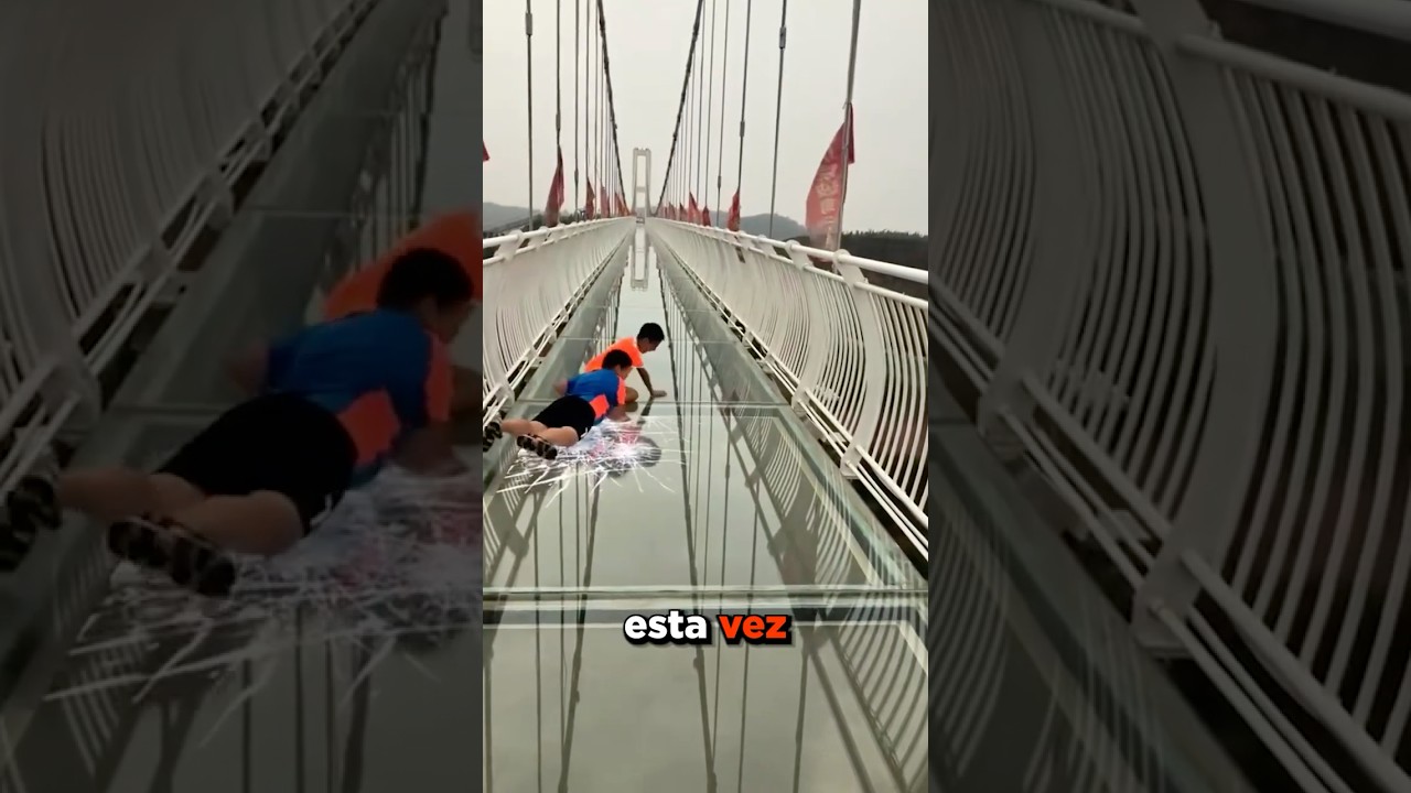 el mundo está roto pero se puede caminar