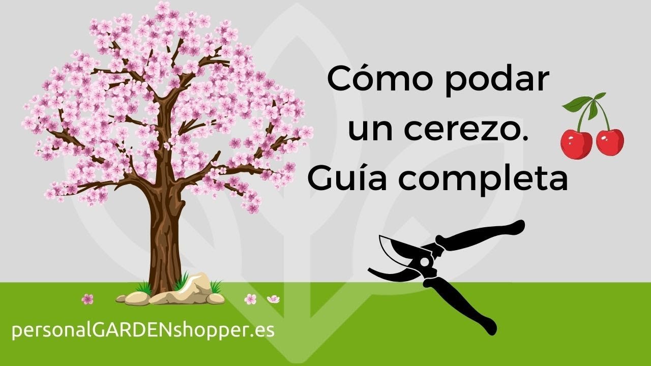 en que luna se podan los cerezos