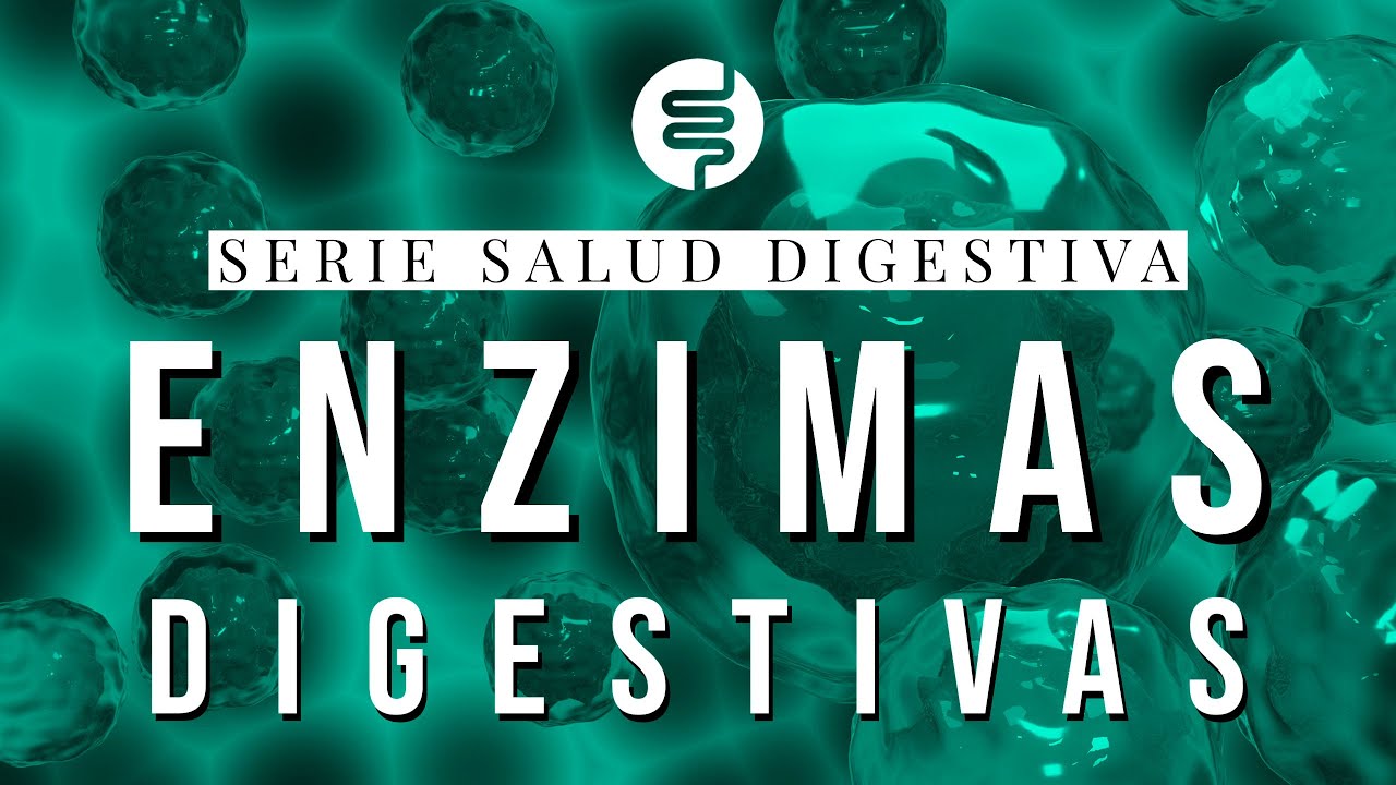enzimas digestivas antes o después de comer