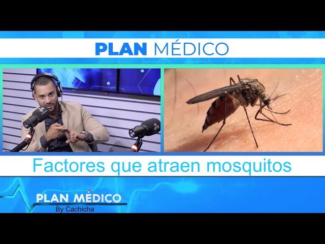 factores que atraen a los mosquitos