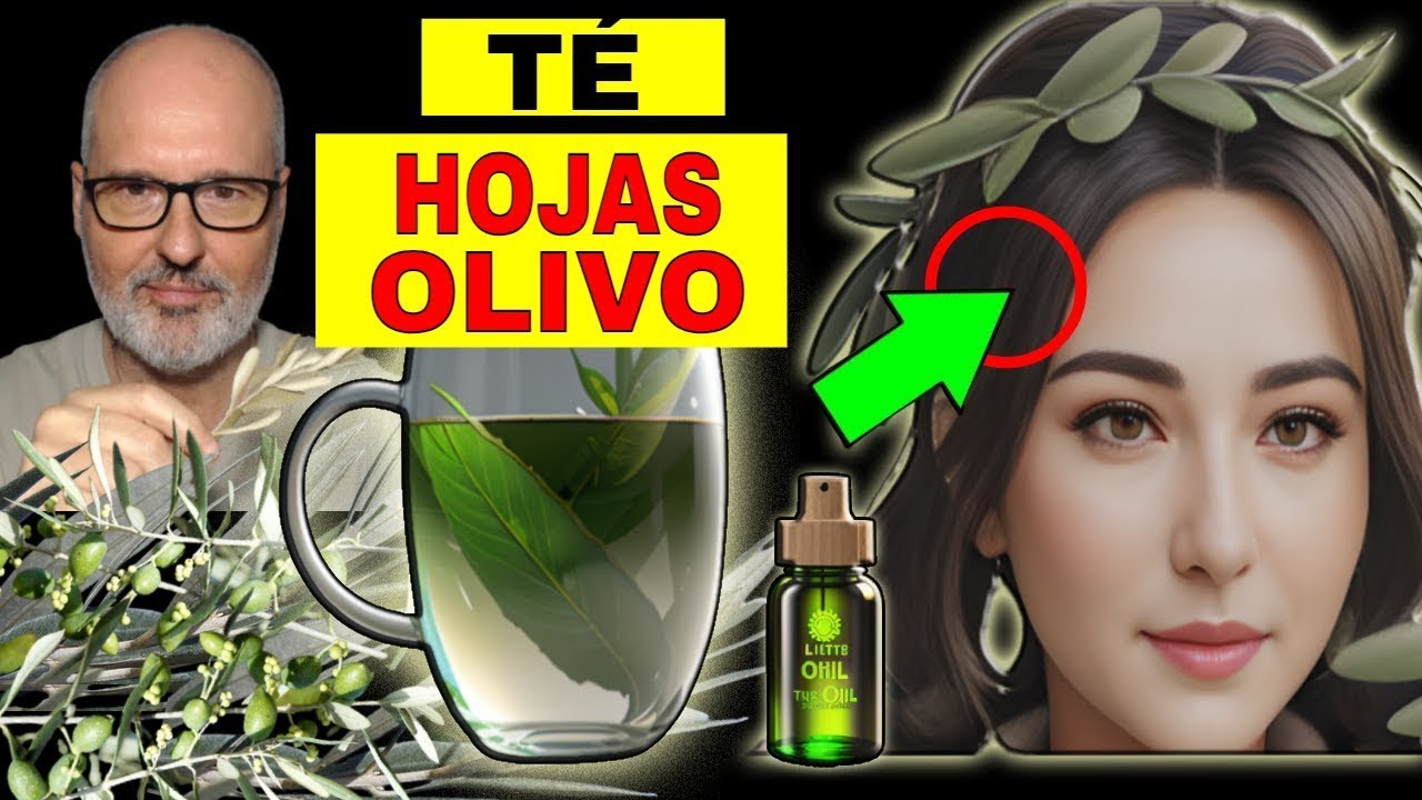 hojas de olivo propiedades y contraindicaciones