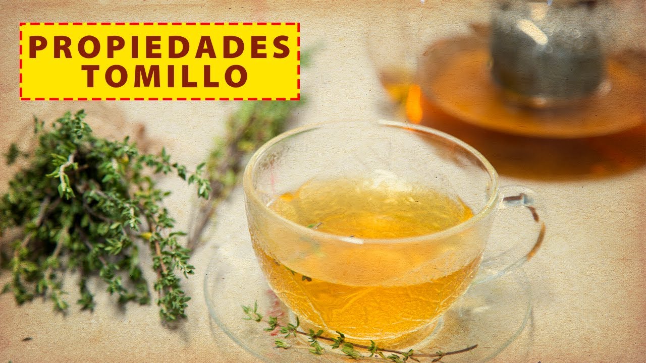 infusión para la tos con tomillo