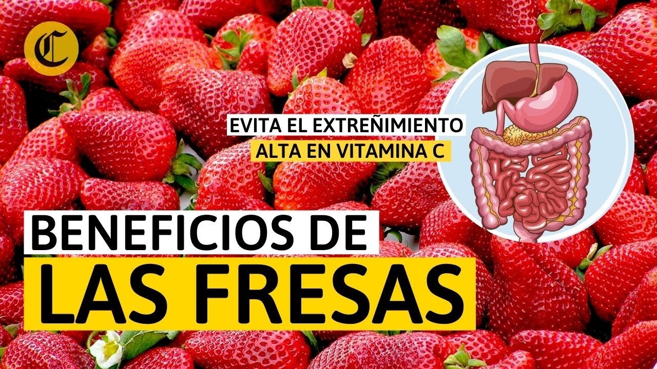 la fresa es un fruto rojo