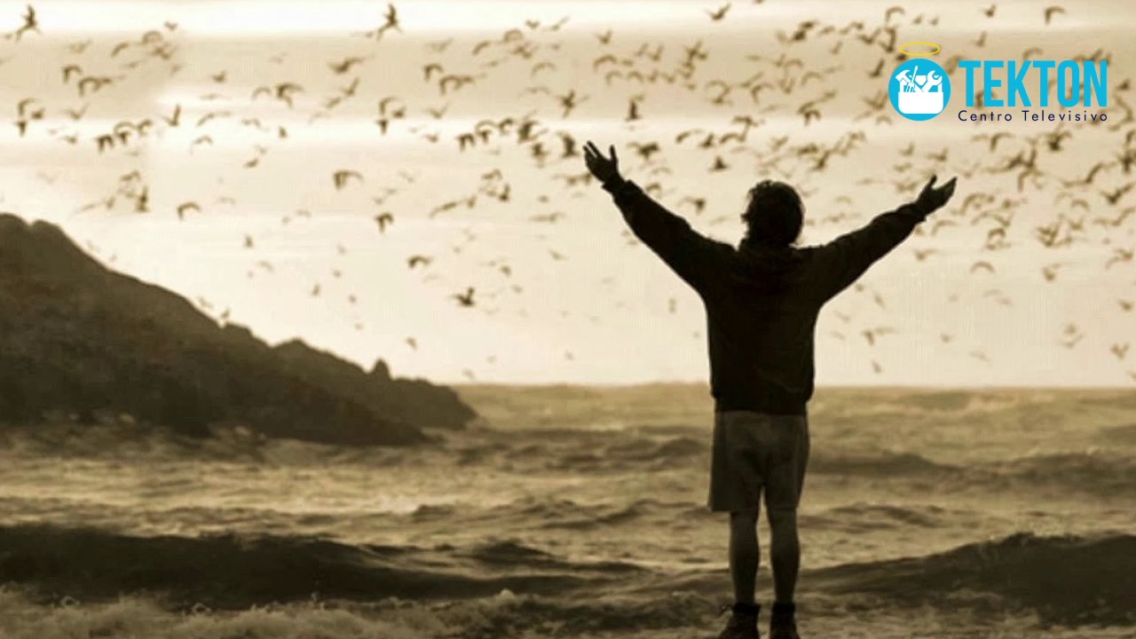 la vida es un sueño poema