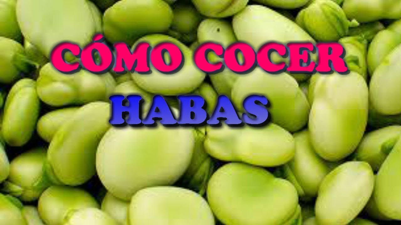 las habas se cuecen con agua fría o hirviendo