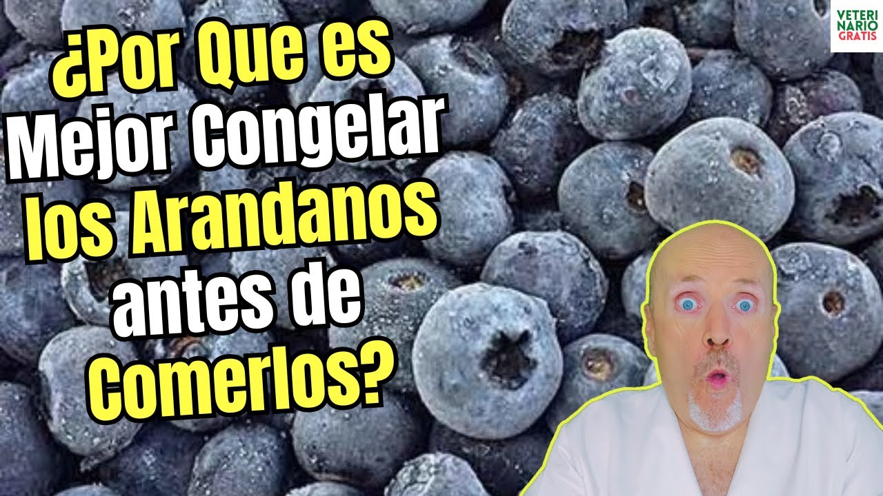 los arándanos congelados pierden sus propiedades