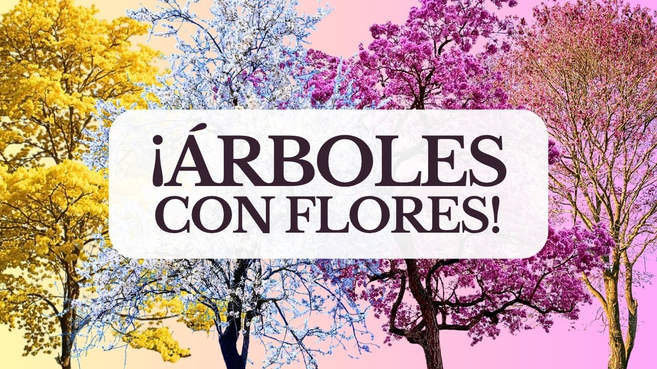 nombres de arboles con flores rosas