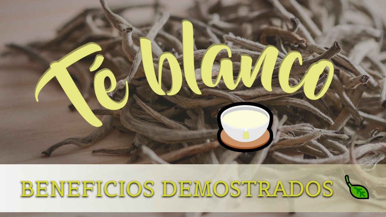 para qué es bueno el té blanco