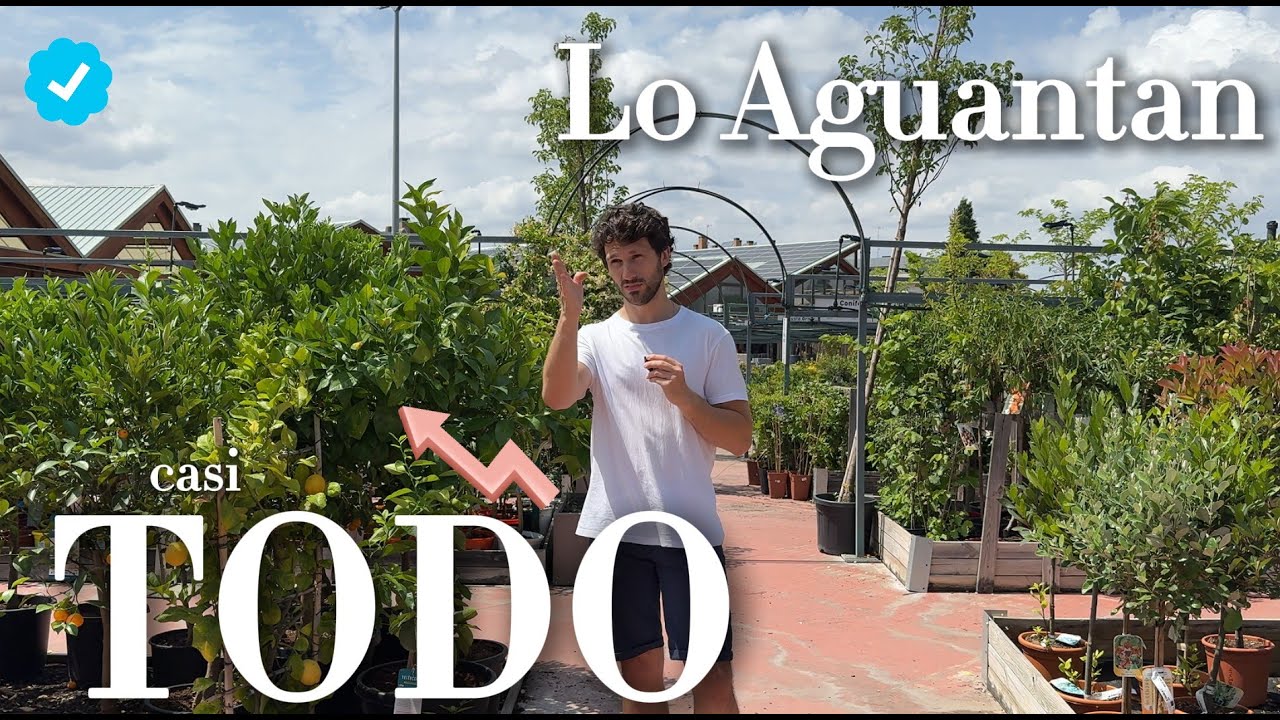 plantas resistentes a sequía y heladas