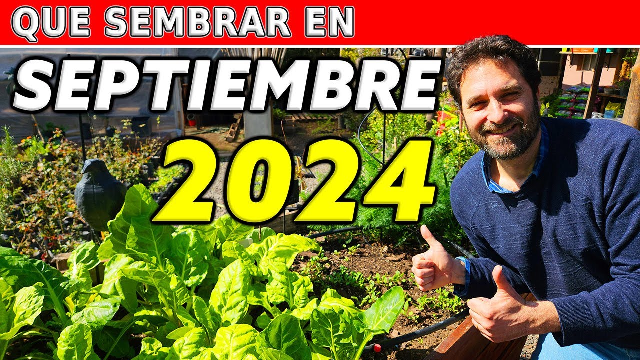 que hortalizas se plantan en septiembre