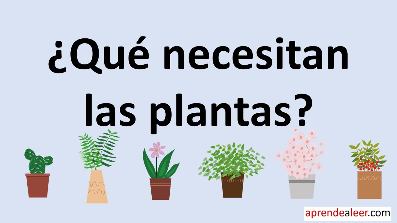qué necesitan las plantas para vivir