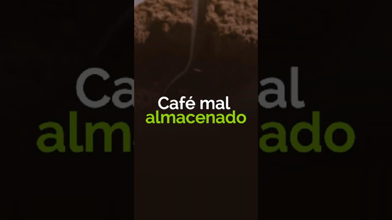 que olor a cafe hecha la silla