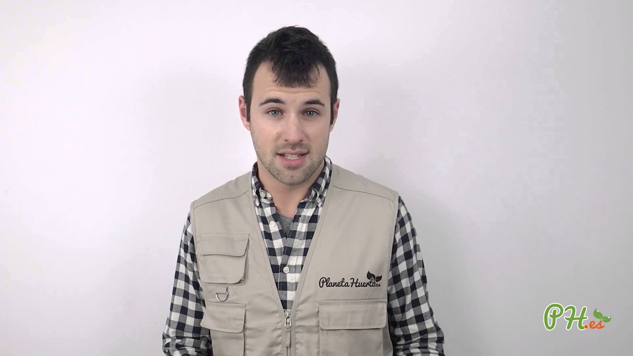 que plantar en abril en el huerto