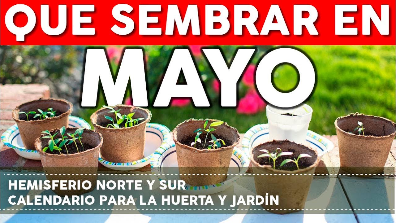 que se puede sembrar en mayo