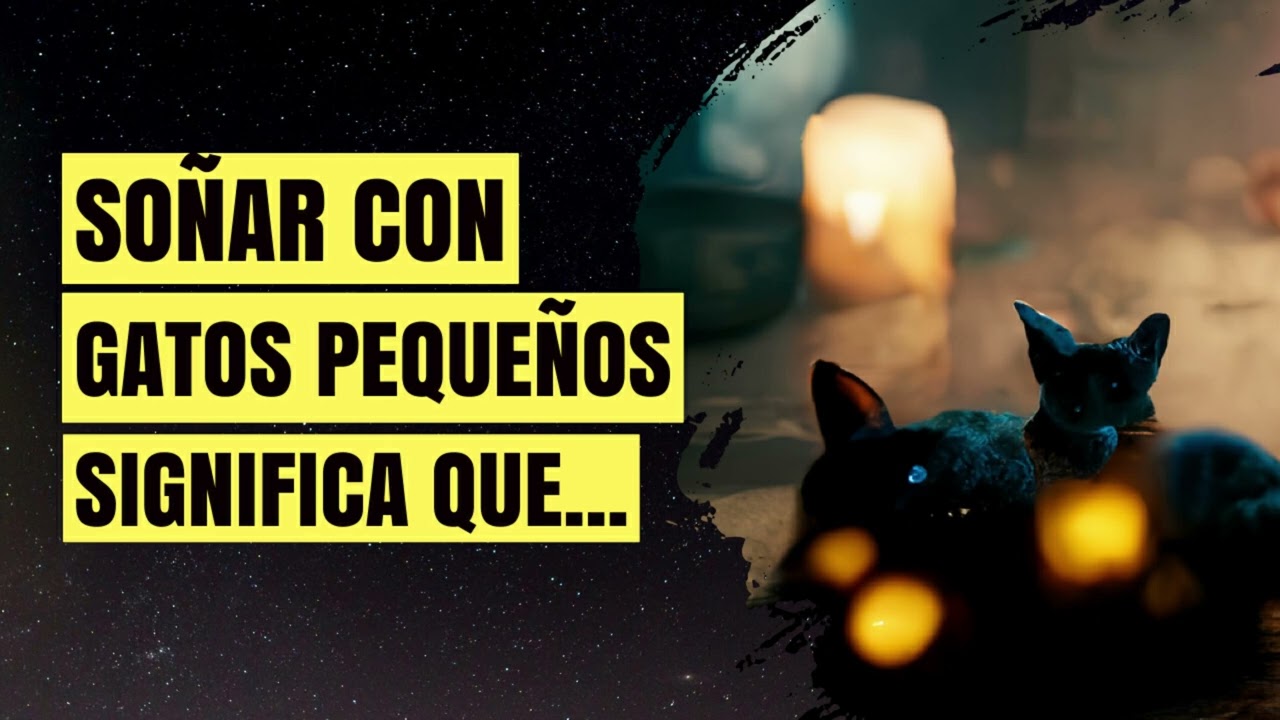 que significa soñar con dos gatos pequeños