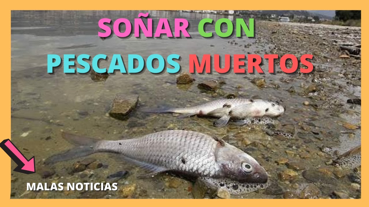 que significa soñar con peces muertos