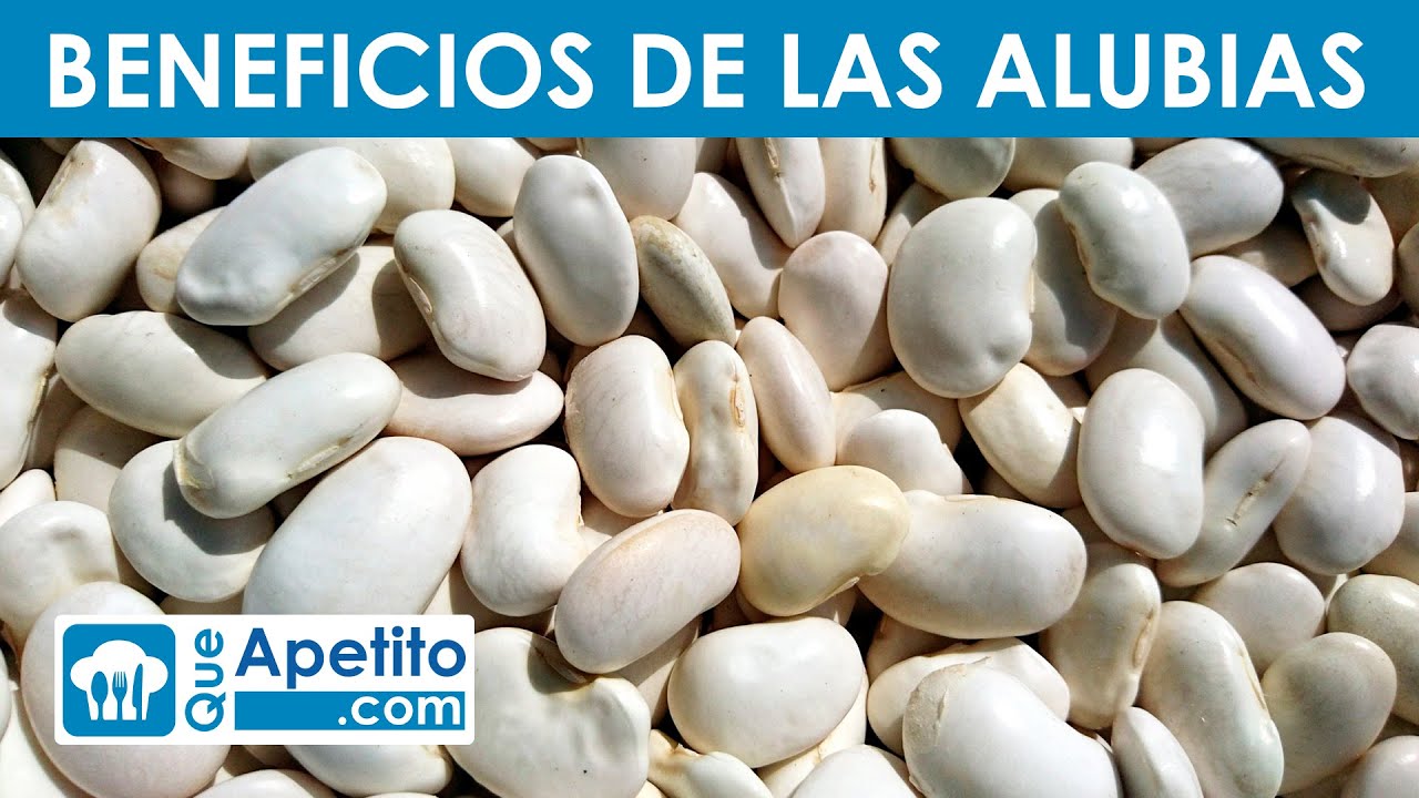 qué tipo de alubias son las mejores