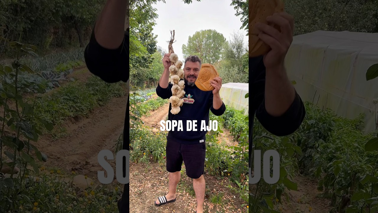 se puede congelar la sopa de ajo