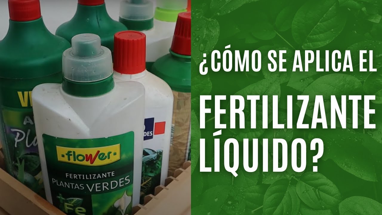 como echar fertilizante líquido a las plantas