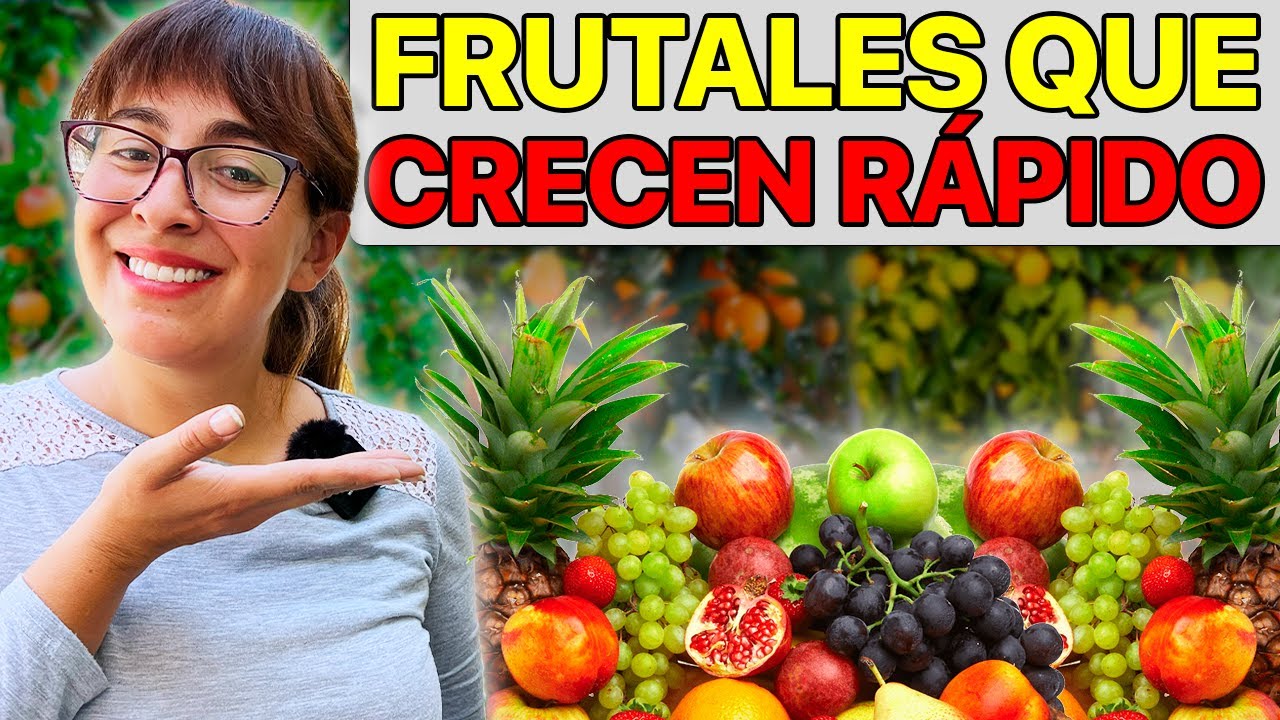 cual es el arbol que da fruto mas rapido