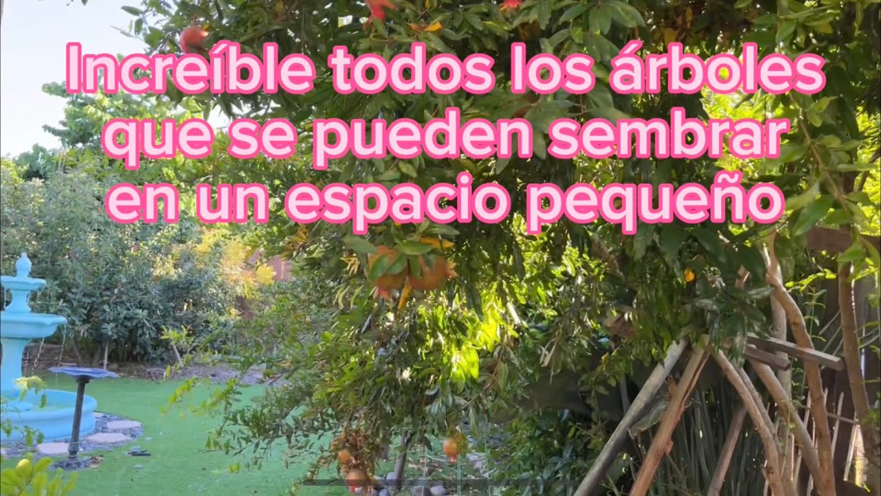 diseño de jardin con arboles frutales