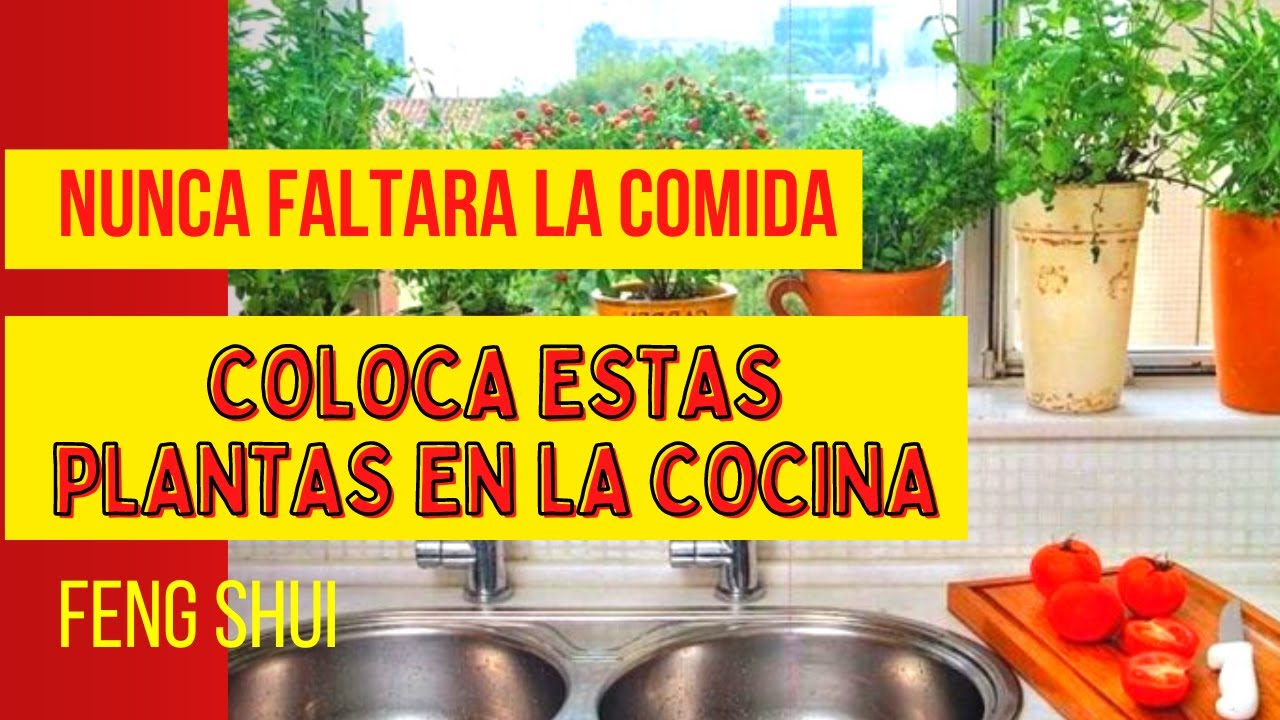 donde poner plantas en la cocina
