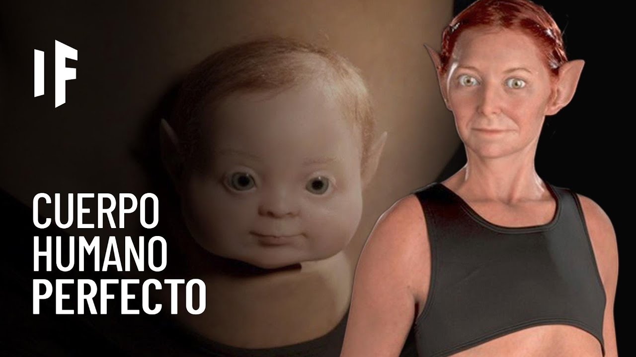 el cuerpo perfecto segun la ciencia