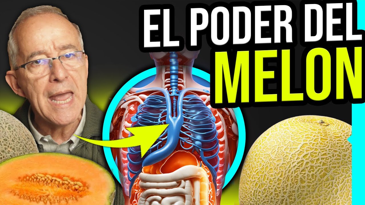 es bueno el melon para la dieta