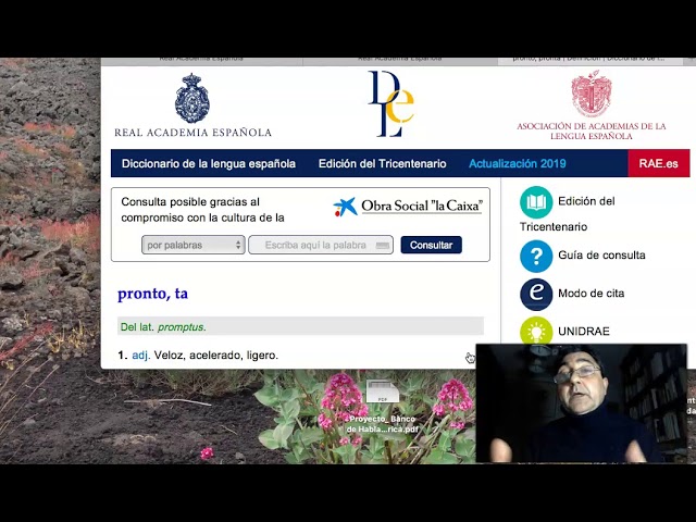 frase o locucion caracteristica de una lengua