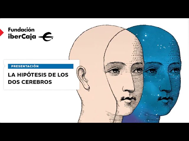 la hipotesis de los dos cerebros