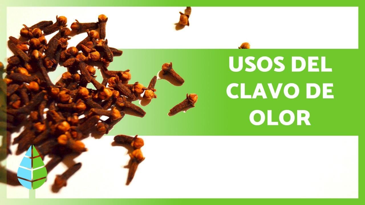 para qué es bueno el clavo de olor