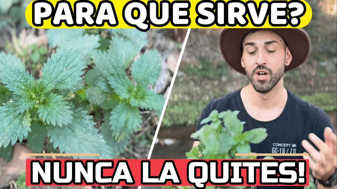 para que sirve la ortiga en el huerto