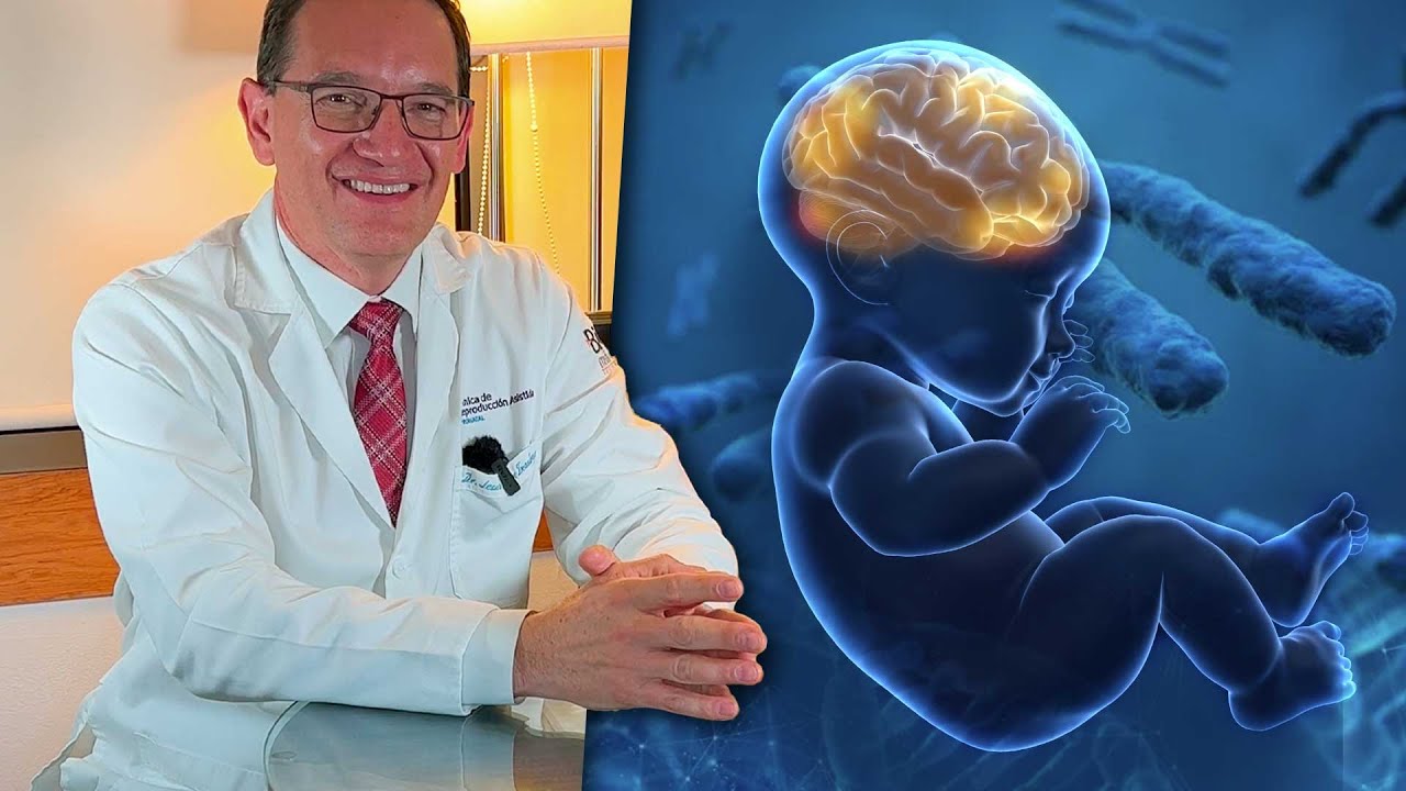 porque el primer hijo se parece más al padre