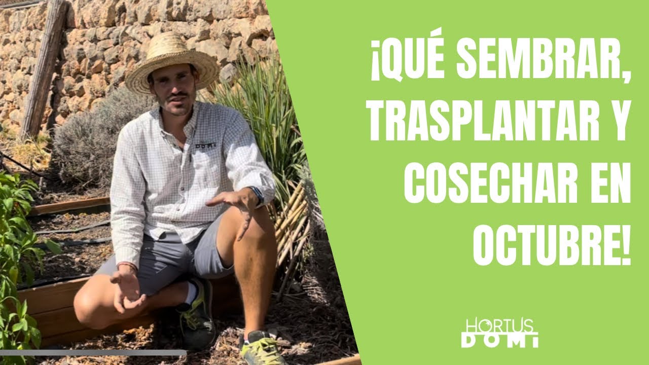 q se puede plantar en octubre