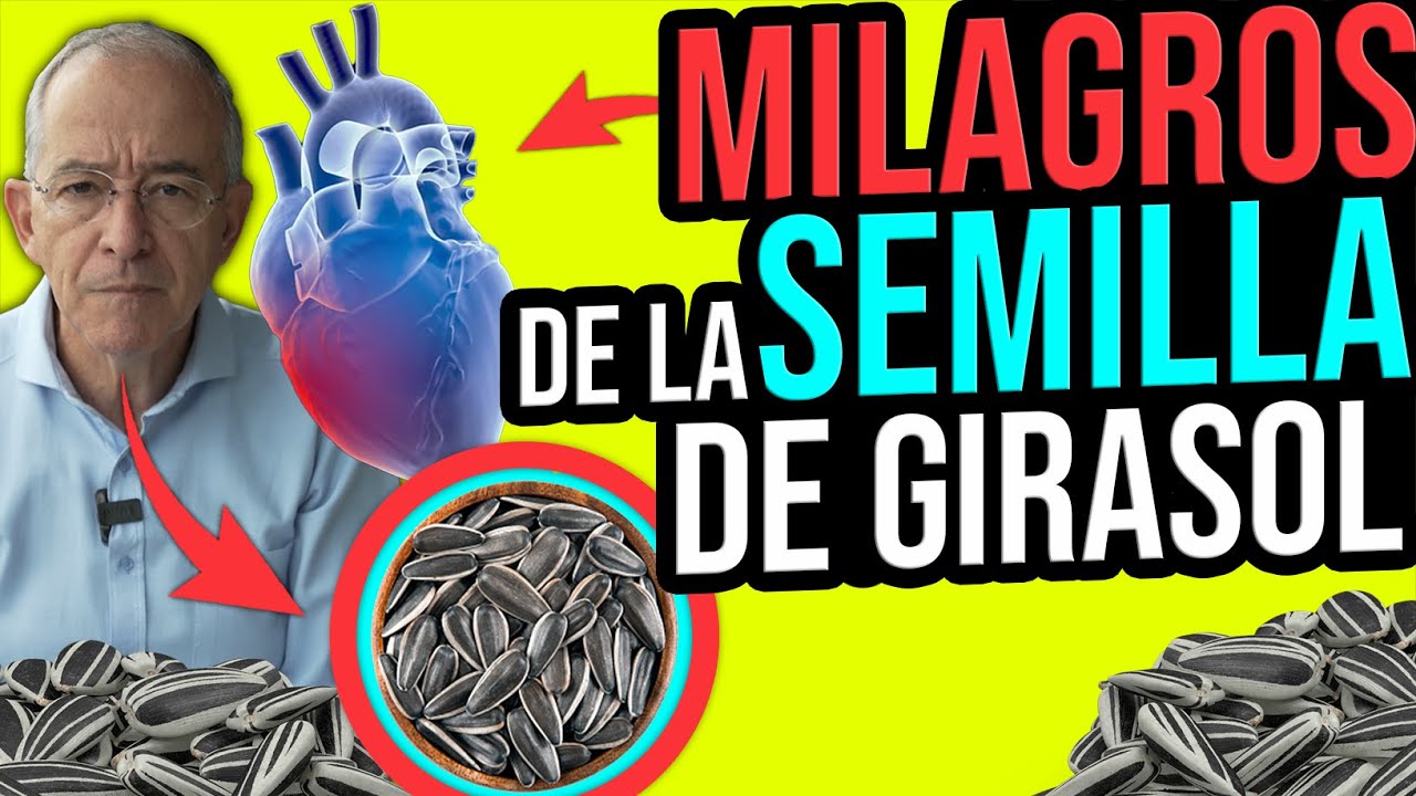 que aportan las pipas de girasol