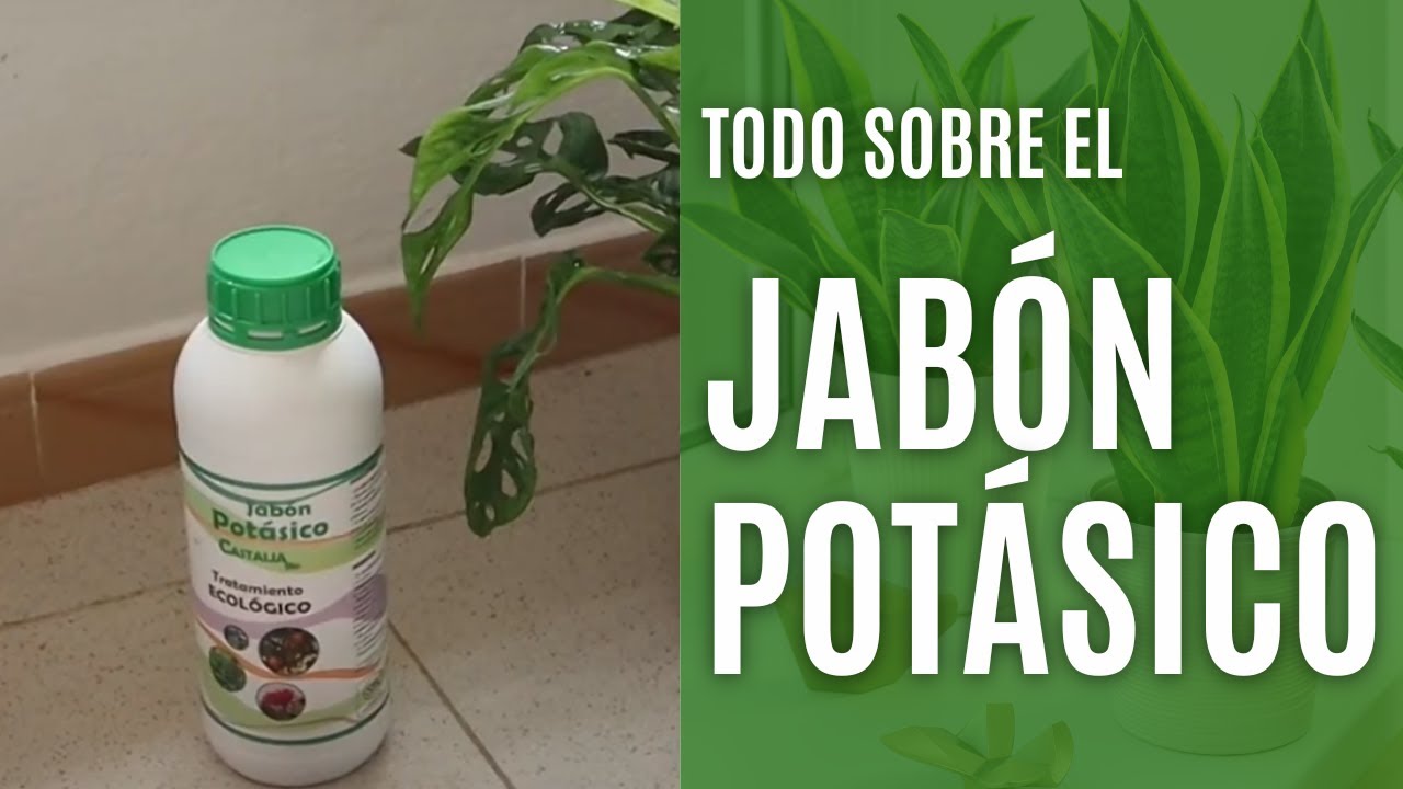 que es el jabon potasico para plantas