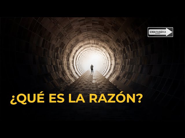 que es la razon en filosofia