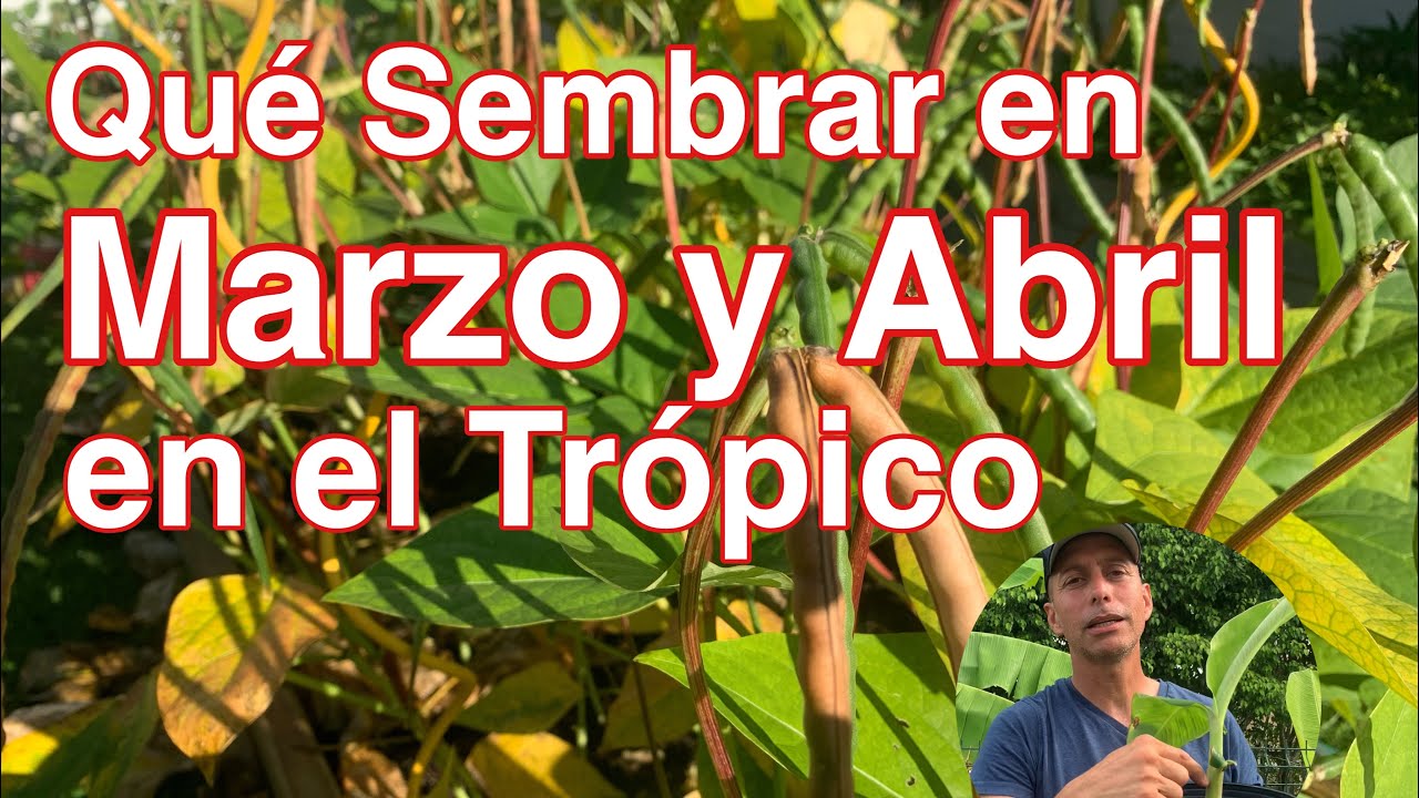 que se planta en marzo y abril