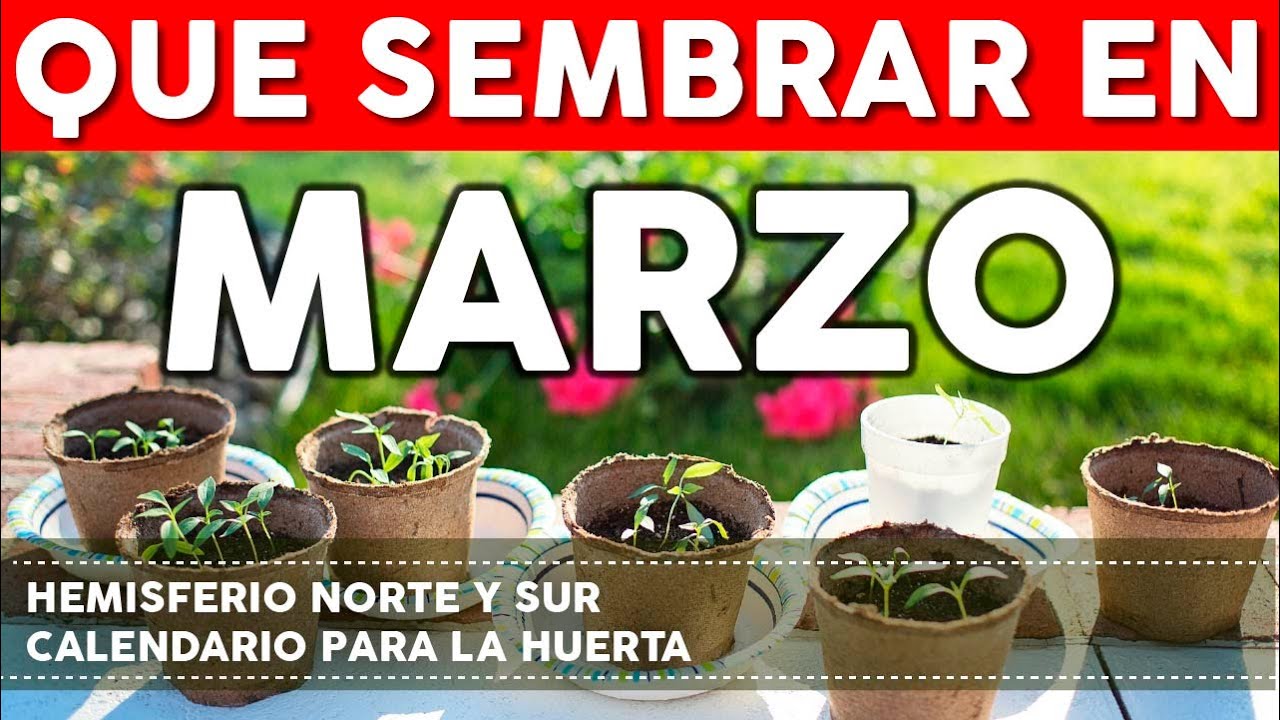que se puede sembrar en marzo