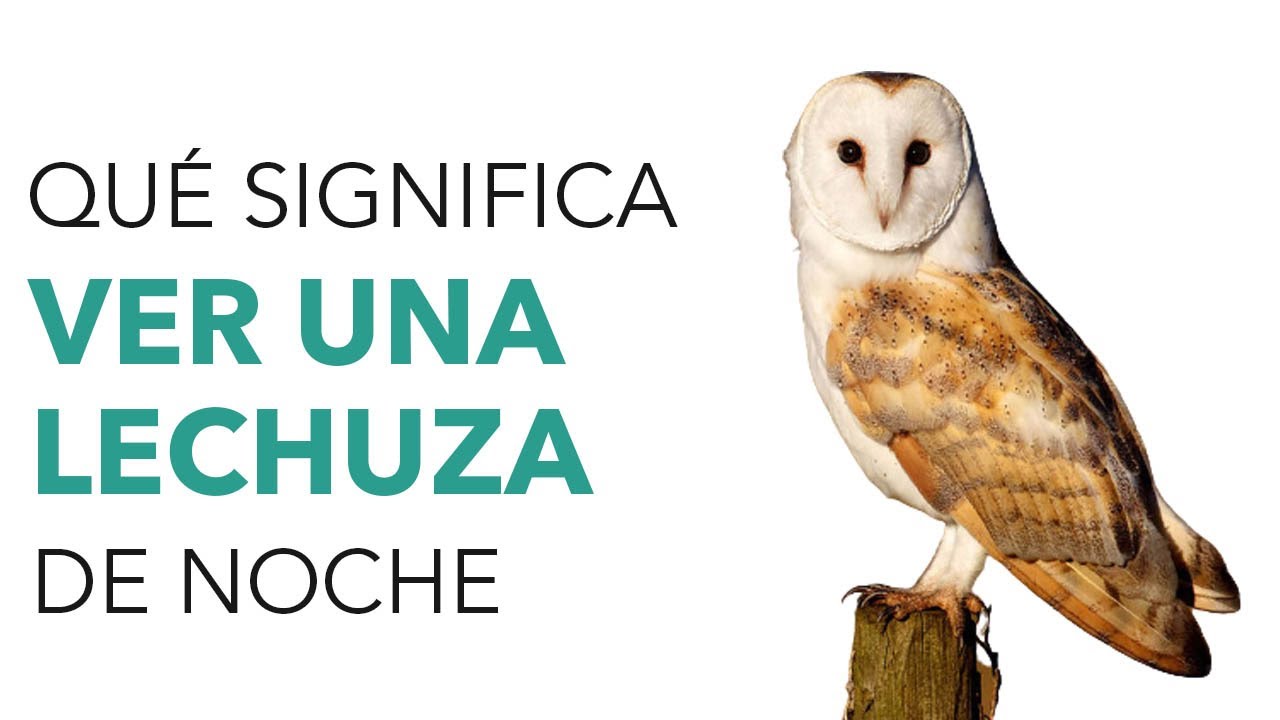 que significa ver a una lechuza